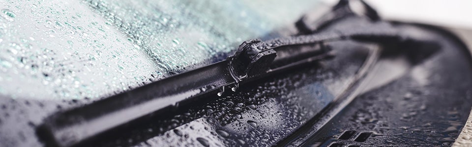 BOGO Wipers & Filters